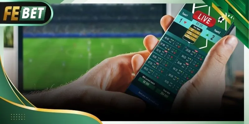 Febet có uy tín không