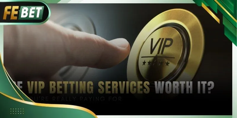 Giao diện hiển thị chương trình dành cho hội viên cao cấp