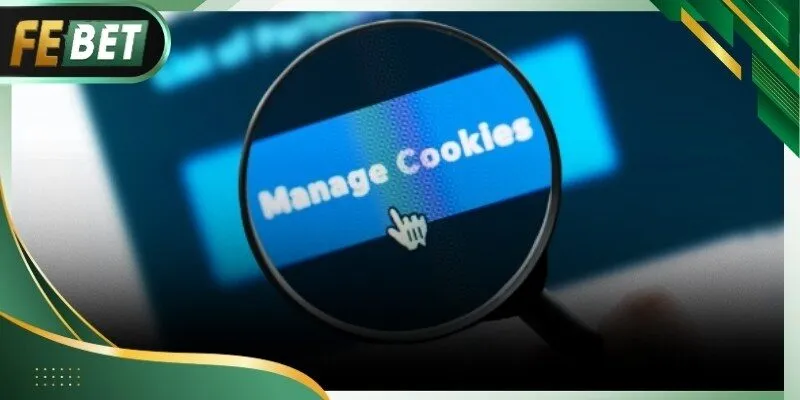 Quy định cookie febet hỗ trợ trải nghiệm người dùng tốt hơn